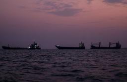 Hormuz Commodity Ship Transits Fall Sharply