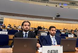 Qatar Joins IMO Talks on Alternative Marine Fuels