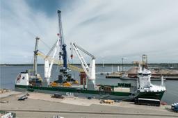 Liebherr Deploys First LPS 550 Portal Slewing Crane at Casablanca Port