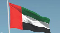 الإمارات تدين استهداف طاقم الناقلة إم تي أوتور 25