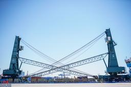 TMT Boosts Capacity with Addition of Two Mobile Harbour Cranes