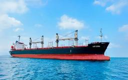 Lady Zehma Damaged in Black Sea Attacks, All Crew Safe