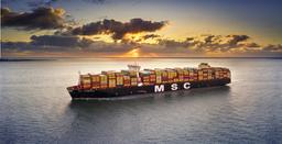 MSC and Chief Engineer Fined over Runaway Containership Incident