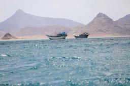 السعودية تعلن خططاً لتشكيل تحالف بحري دفاعي متعدد الجنسيات