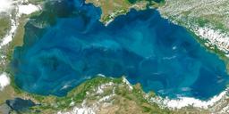 MSC Halts Novorossiysk Bookings After Drone Attack on Container Ship